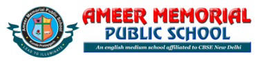 AMEER MEMORIAL PUBLIC SCHOOL